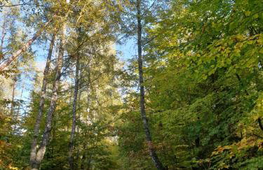 Siedlisko pod Aniołem - Foto 63