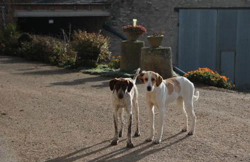 Casa Mestres - Foto 25