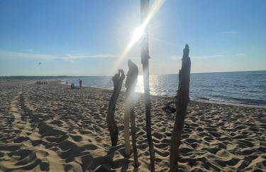 Dzika Foka Wiosłowa 49 - Photo 27