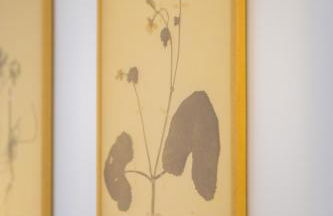 Le Petit Bois - Foto 27