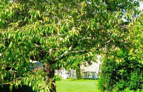 Appartement familial à Blaignac avec Piscine 100m² 8 personnes - Foto 14