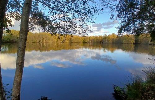 Gite des étangs de Saint Bale - Foto 66