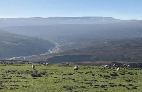 Robsons Cottage - Foto 13