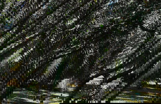 River Paradise Safari House with Cooking Class - Photo 31