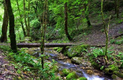 Casa Modigliani - Tra Arte e Natura - Foto 38