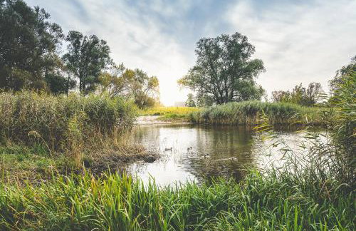 Landhaus mit Garten - Foto 48