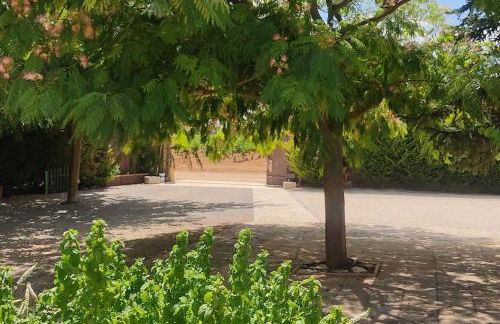 Finca El Pilar - Foto 23