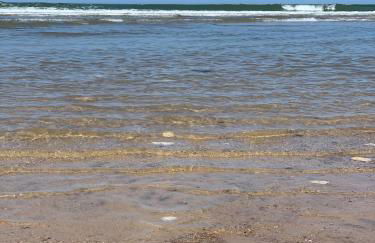 pénates océanes - Foto 25