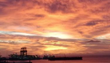 calandria las palmas - Foto 5