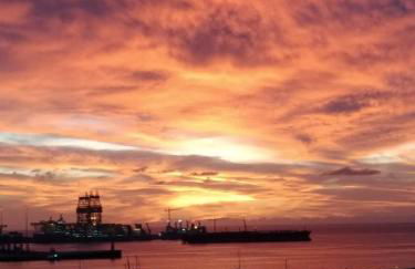 calandria las palmas - Foto 5