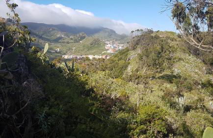 La Casita de Omar en el corazón de Anaga y La Laguna - Foto 32