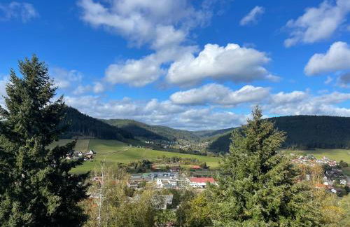 Studio Tonbachblick Baiersbronn - Photo 14