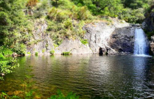 Apartamentos El Valle - Foto 6