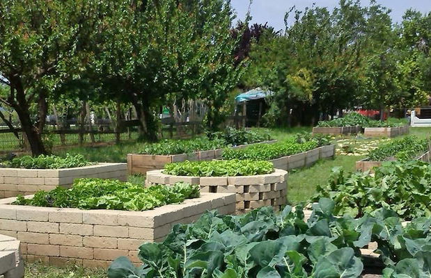 Agriturismo La Borina - Foto 60