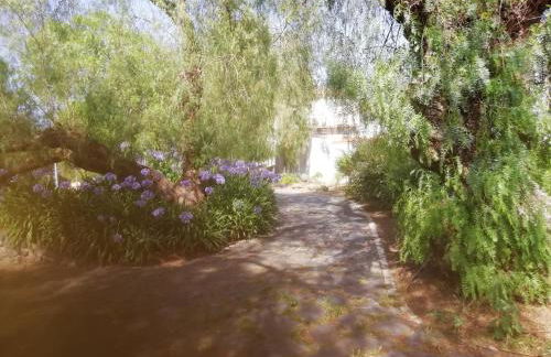 Casa do Jardim - Foto 50