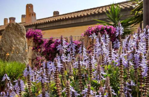 Attico Romantico vista mare alla Maddalena - Foto 15