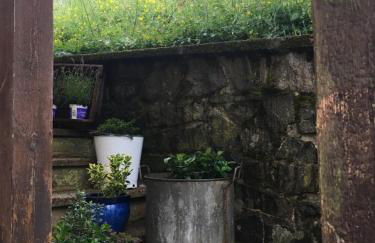 Platell Ferienhäuser Harz Lerbach - Foto 33