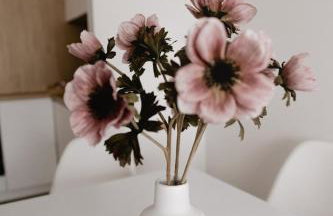 Apartament 1 Rozmarynowa 2 Residence Opole - Foto 19