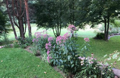 DOMEK POD DĘBEM - Foto 30