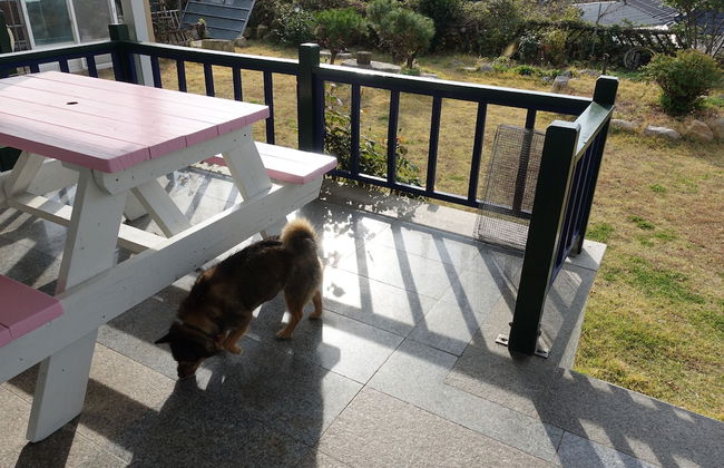 Good Relation Villa - Foto 68