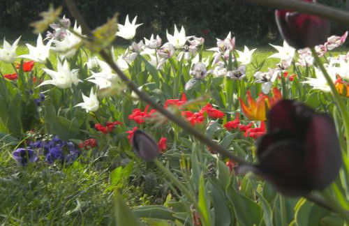 Agriturismo Il Magicorto - Photo 42