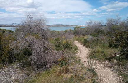 Apartment Laguna - Foto 10