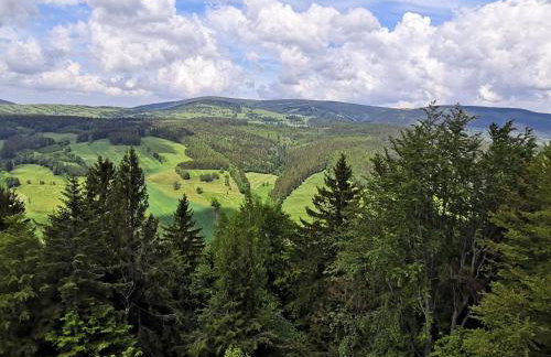 Dom nad Potokiem Sowa - Foto 51