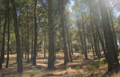 La Casería Azul de Cuadros - Foto 58