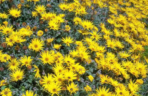 Quinta do Cabeço - Foto 36