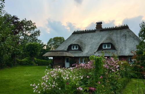 Reetdachkaten in Schuby, Ostsee - Foto 10