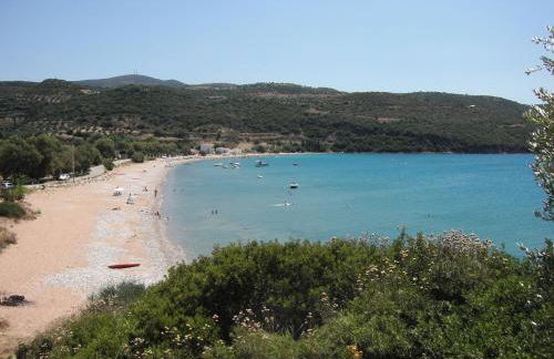 Avocado house - Photo 13