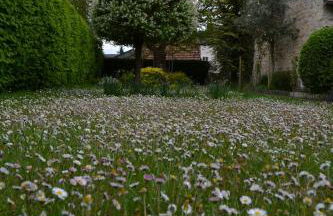 Gîte de charme proche du Zoo Beauval et Châteaux - Photo 60