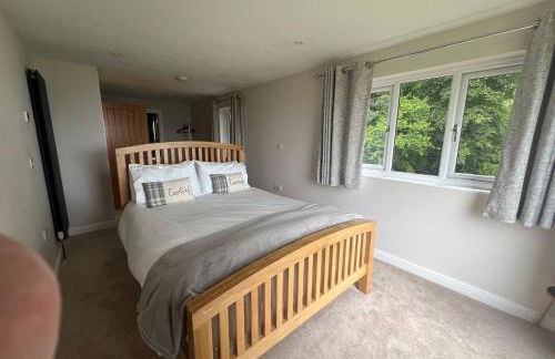 Llwynblyfyn - Foto 41