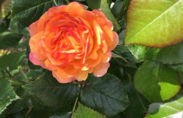 Gite Au Pré du Mont st michel - Foto 57