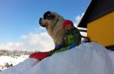 Ferienwohnung Reifberg - Photo 31