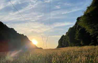 Mello-Ray River House - Photo 27