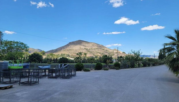 Wunderschönes Weingut in Alicante - Foto 2