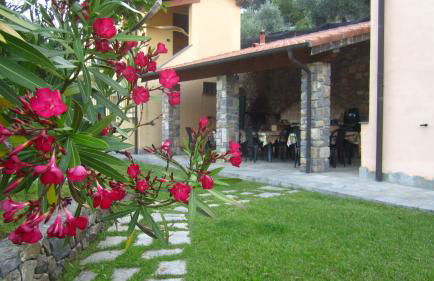 Agriturismo Turlin - Foto 33