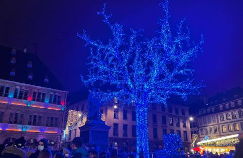 Robertsau, jardin en ville - Foto 21