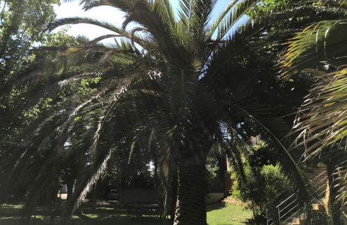 Résidence les Caraibes - Foto 59