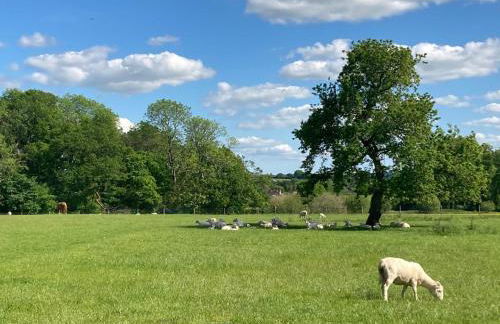 1 Bed in West Knoyle 52108 - Photo 12