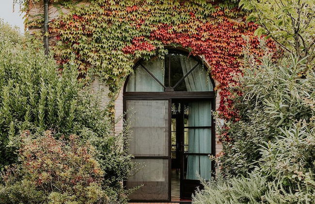 Ginestriccio - Foto 2