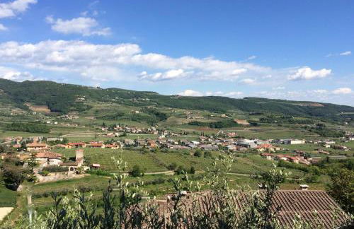 Valpolicella Hills - Foto 15