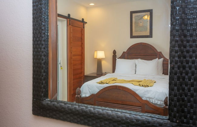 Lawson Rock - Parrotfish 106 - Foto 5