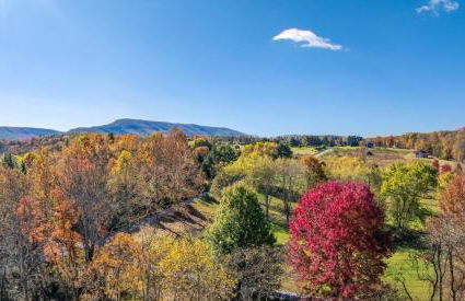 Mariposa Moon Cottage at Sleepy Creek - Wifi, Deck, Fire Pit, Creekside, View - Photo 12