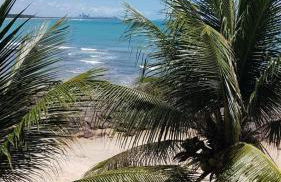 Xareu-Balanço das Ondas! - Foto 9