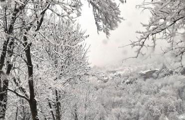 La finestra sul giardino - Edolo - Foto 37