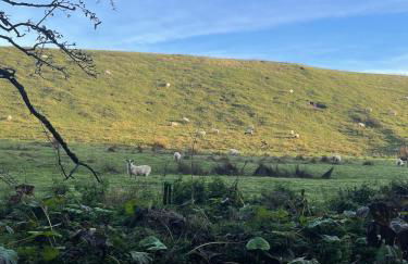 Gardener's Cottage - Foto 8