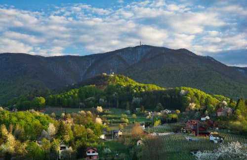 Countryside Home 39 by GREEN Croatia - Foto 24