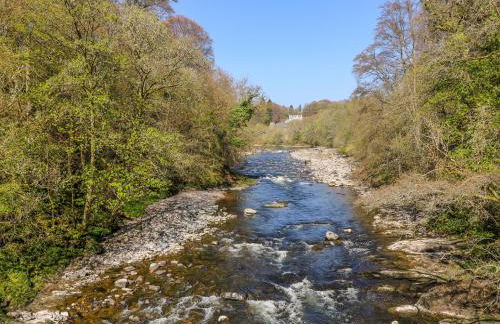 12 Keathbank Court - Photo 24